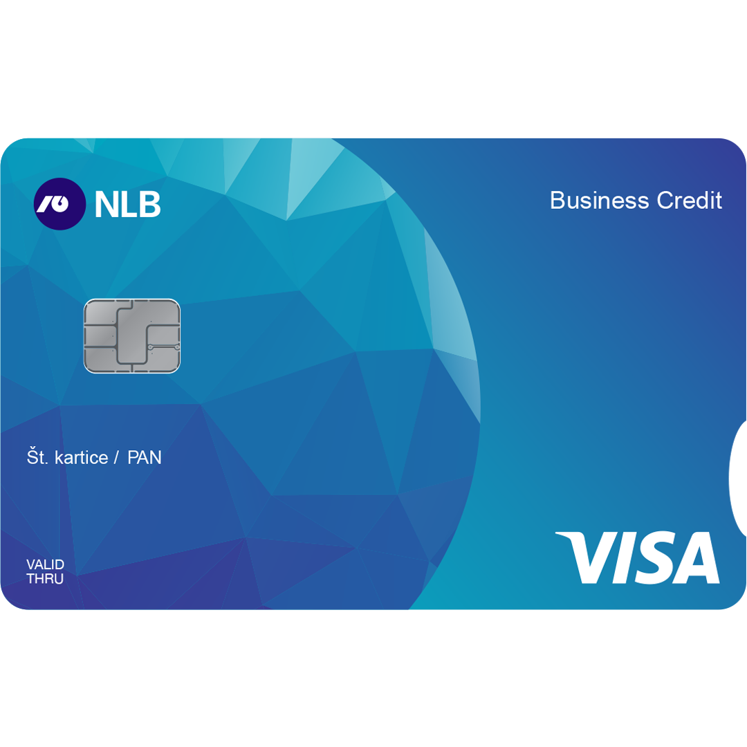 Visa Kredit Business