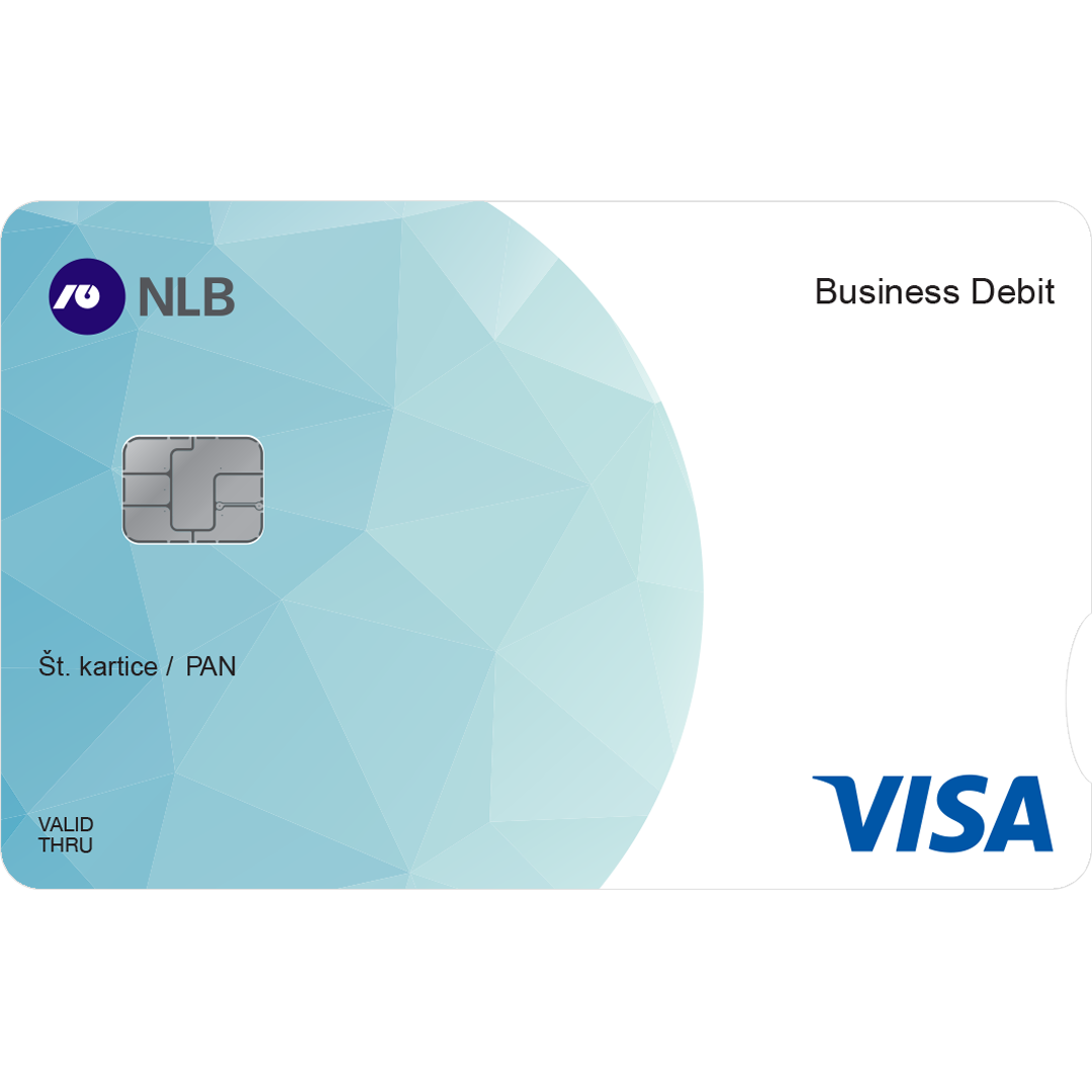 VISA Classic Debit Business